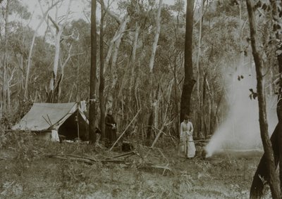 Mujeres pioneras en la limpieza de tierras de Archibald James Campbell